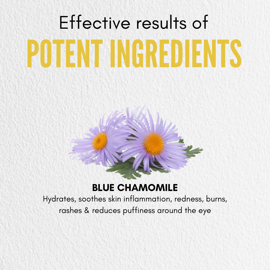 Blue Chamomile Hydrosol